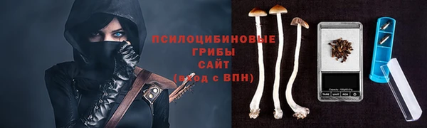 spice Семёнов