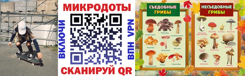 купить наркотики цена Славянск-на-Кубани Галлюциногенные грибы прущие грибы