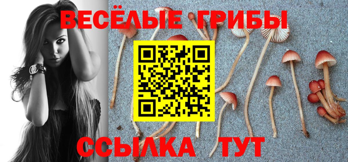 как найти закладки  Галлюциногенные грибы Psilocybine cubensis  Славянск-на-Кубани  Псилоцибиновые грибы MAGIC MUSHROOMS 